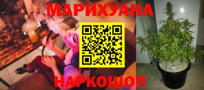 прущие крисы Канаш