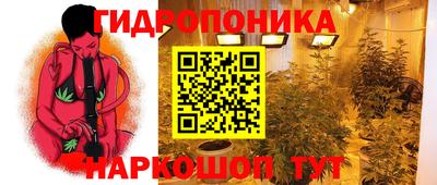 прущие крисы Канаш