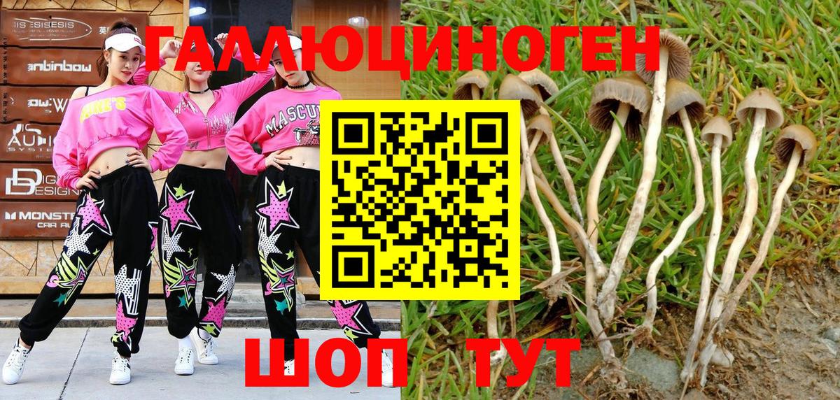 Галлюциногенные грибы мицелий Лыткарино